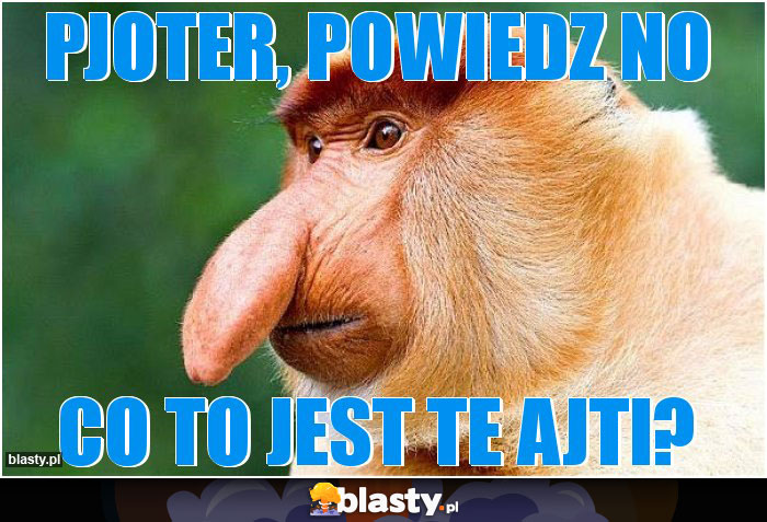 Pjoter, powiedz no