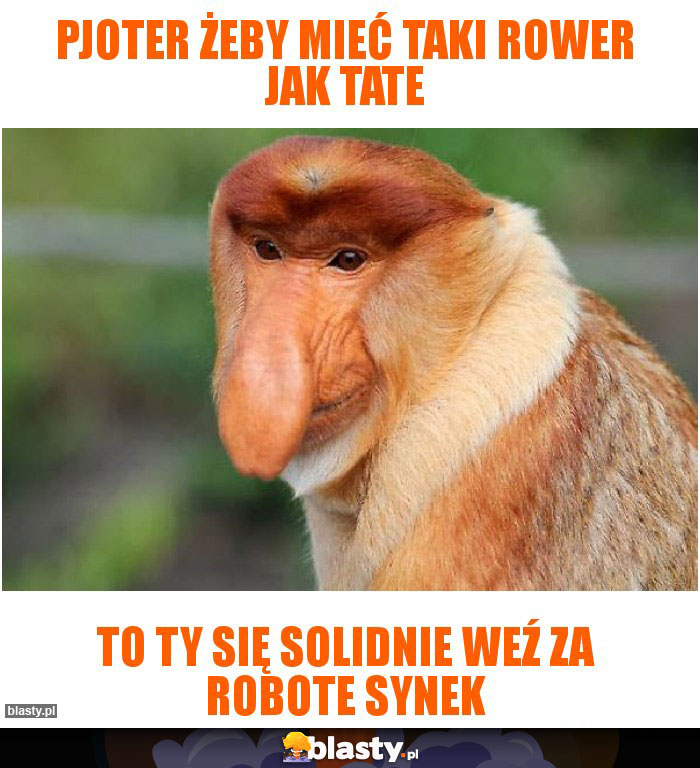 Pjoter żeby mieć taki rower jak tate