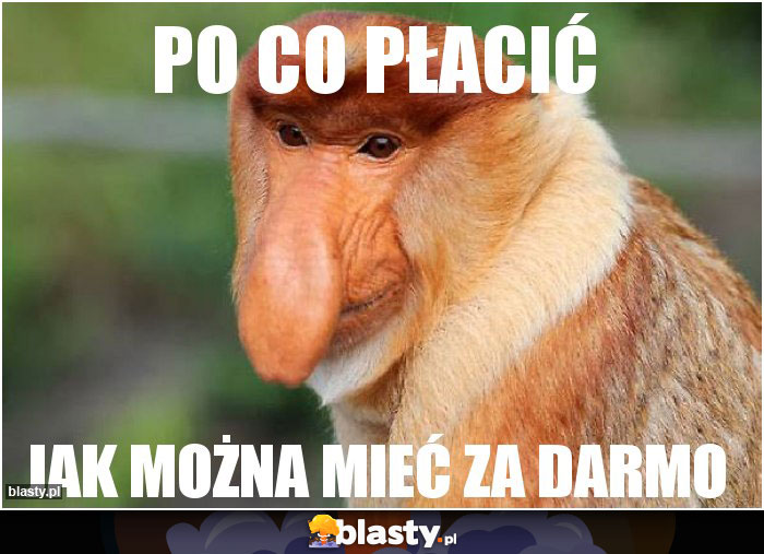 Po co płacić