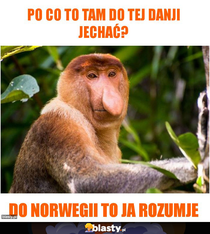 Po co to tam do tej danji jechać?