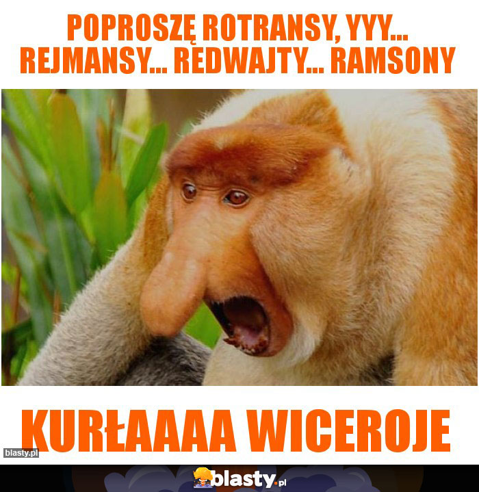 Poproszę Rotransy, yyy... Rejmansy... Redwajty... Ramsony