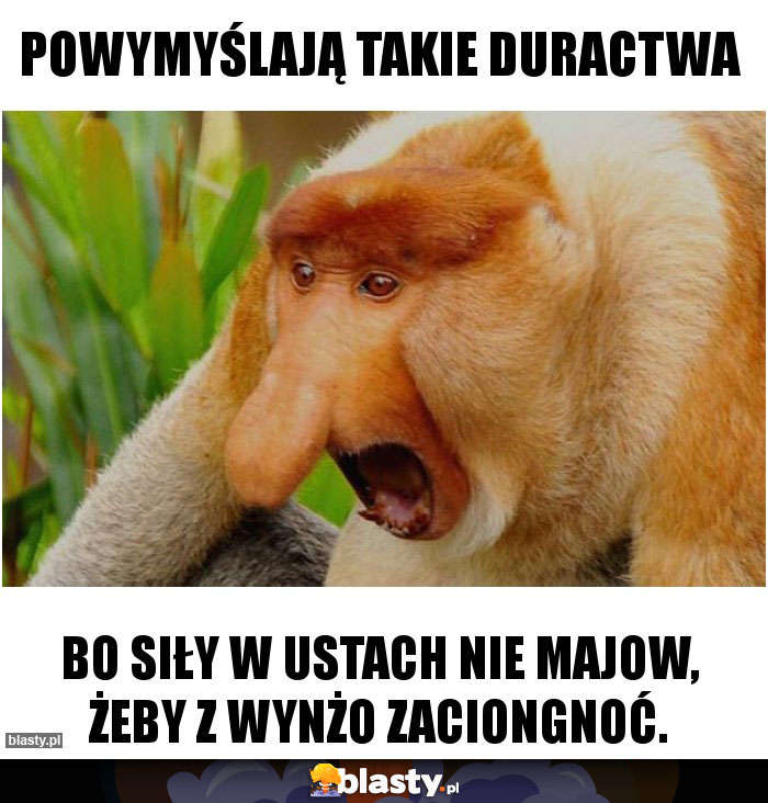 Powymyślają takie duractwa