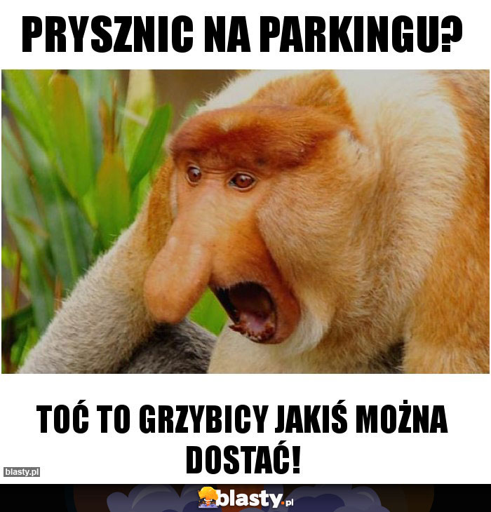 Prysznic na parkingu?