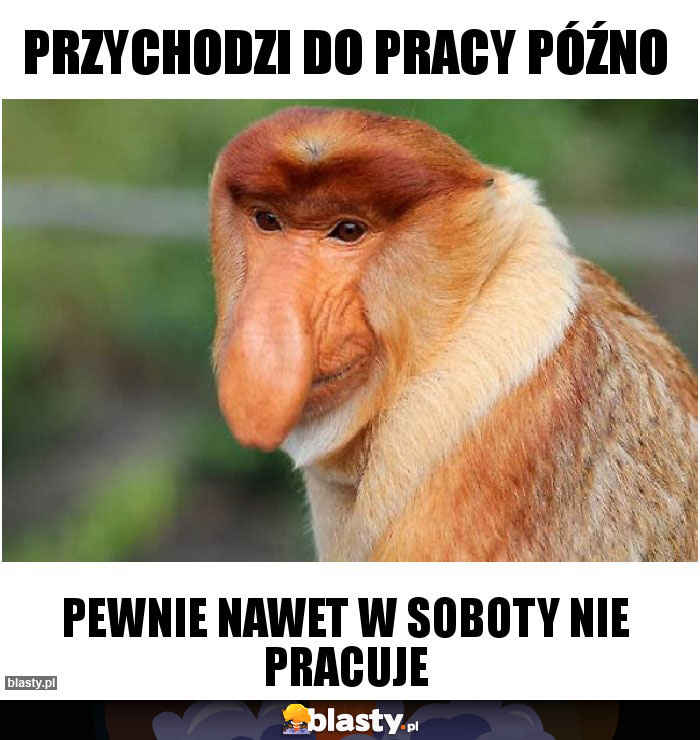 PRZYCHODZI DO PRACY PÓŹNO