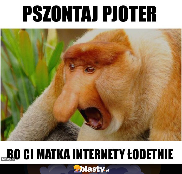 PSZONTAJ PJOTER