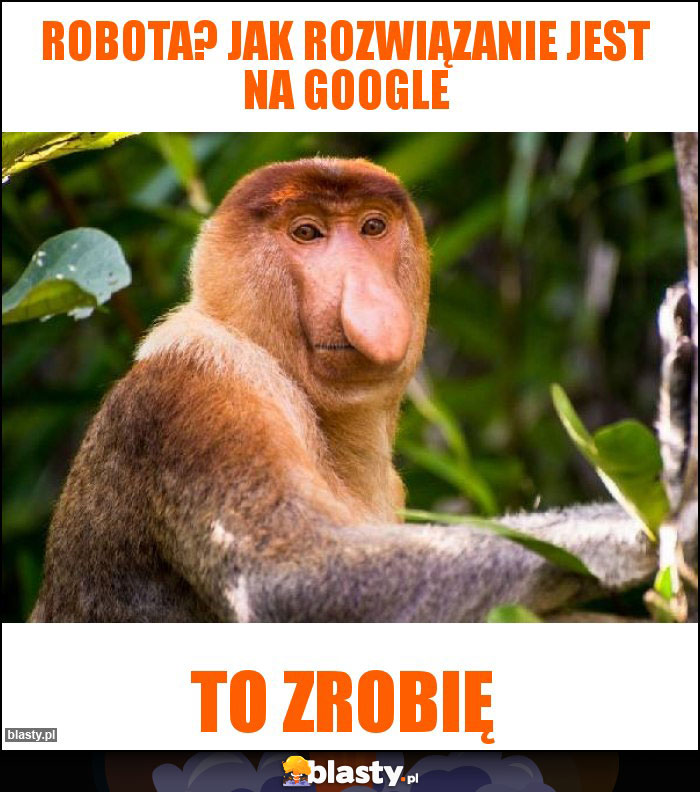 Robota? Jak rozwiązanie jest na google