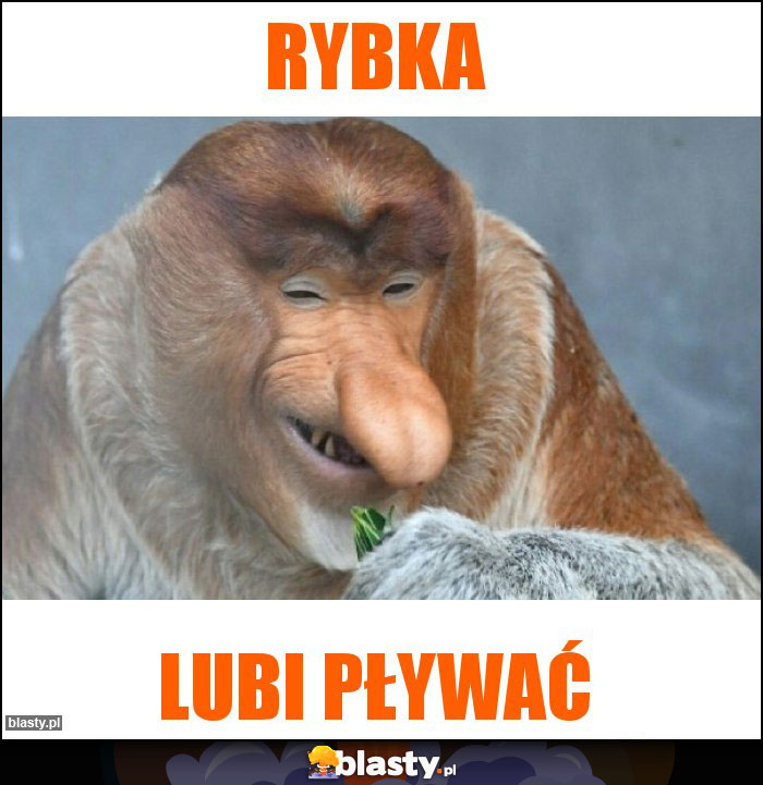 Rybka