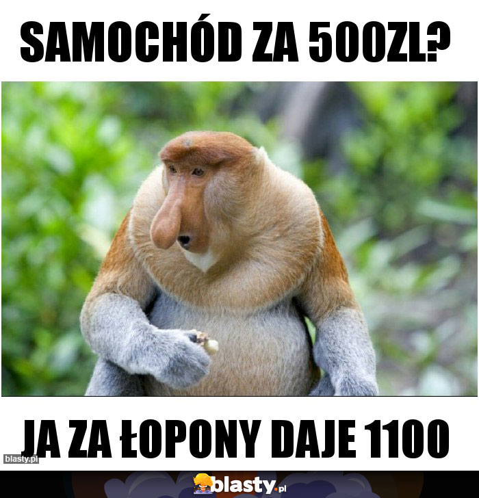 Samochód za 500zl?