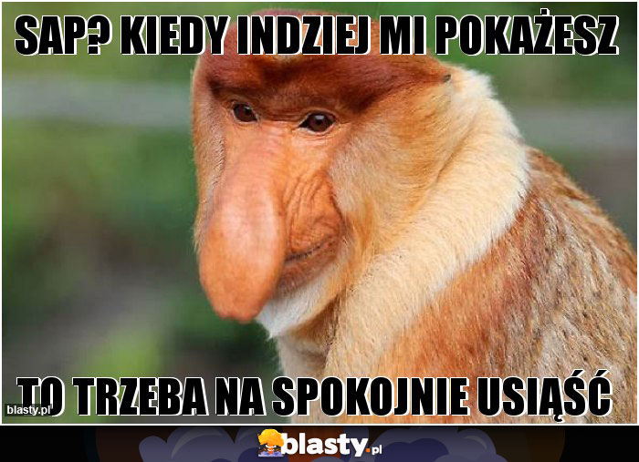 SAP? Kiedy indziej mi pokażesz