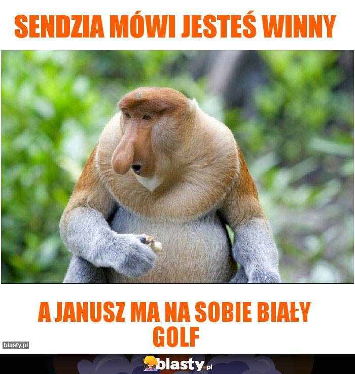 sendzia mówi jesteś winny