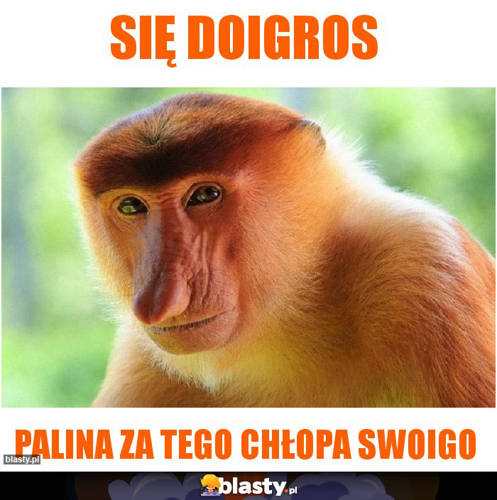 Się doigros