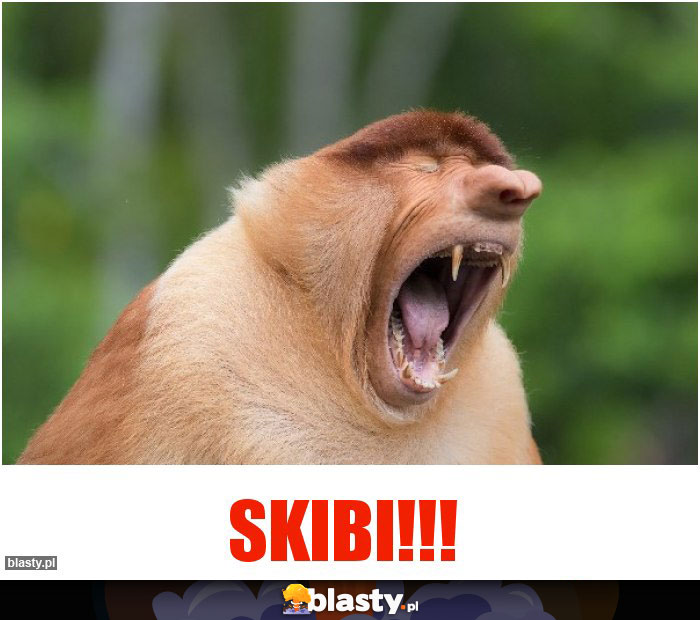 SKIBI!!!