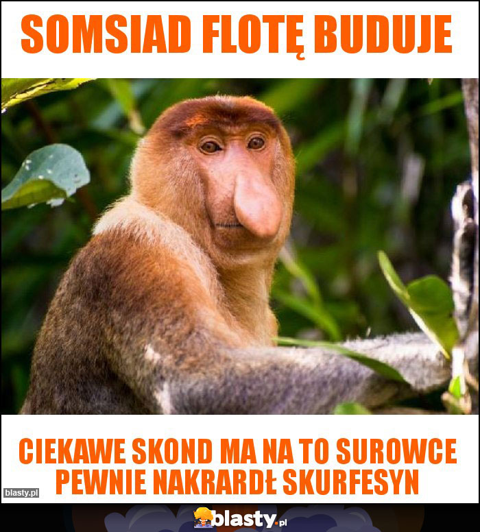 SOMSIAD FLOTĘ BUDUJE