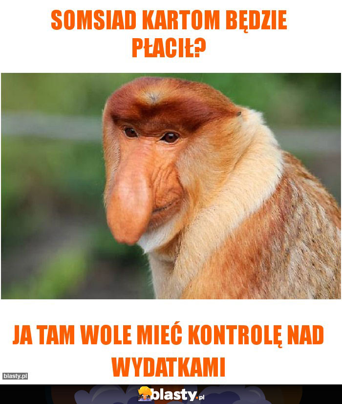 Somsiad kartom będzie płacił?