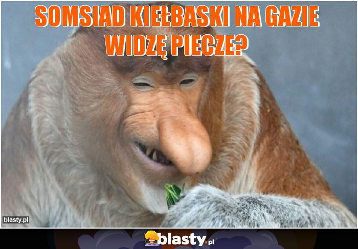 Somsiad kiełbaski na gazie widzę piecze?