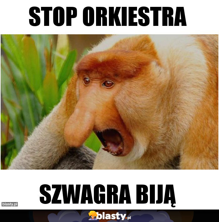 STOP ORKIESTRA