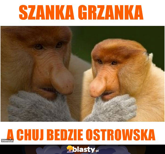 Szanka grzanka