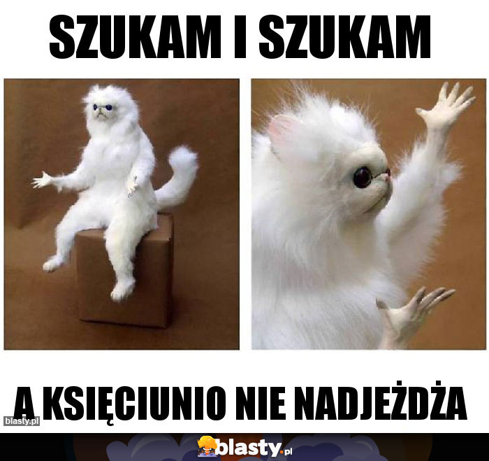 Szukam i szukam