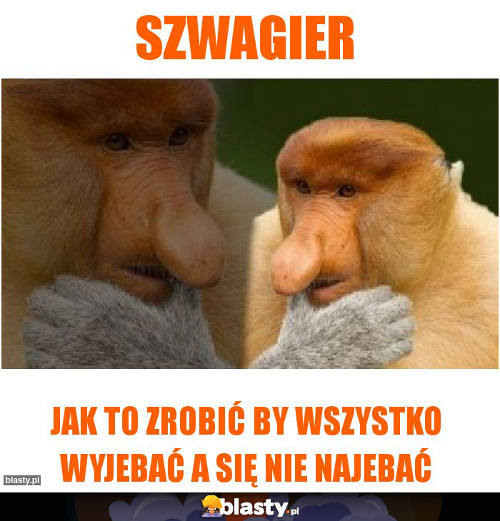 Szwagier