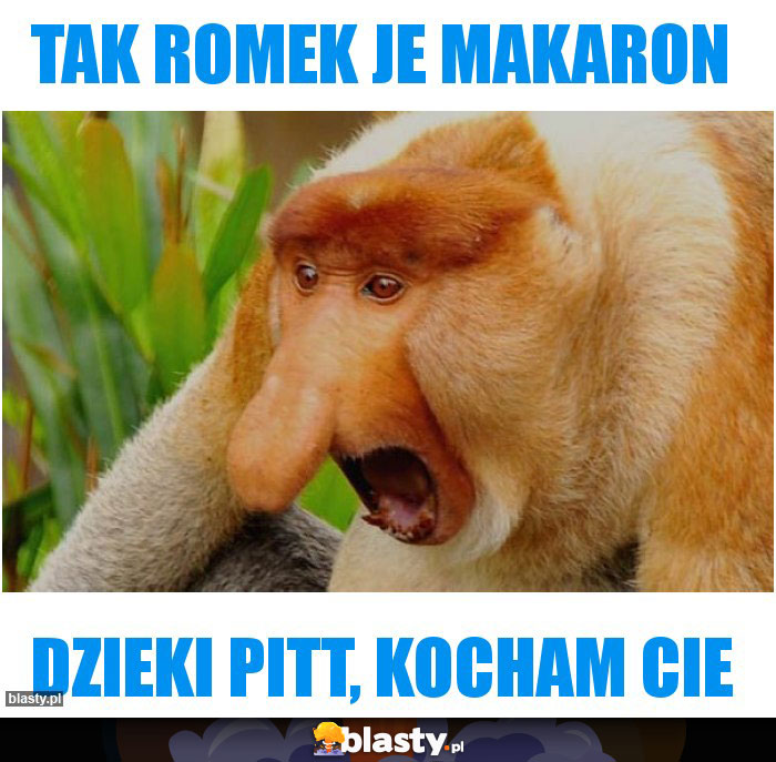 tak Romek je makaron