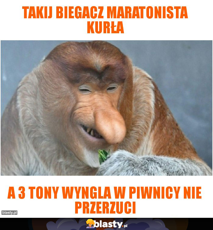 TAKIJ BIEGACZ MARATONISTA KURŁA