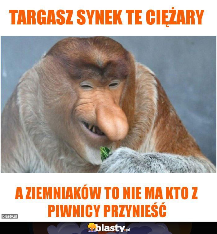 Targasz Synek te ciężary