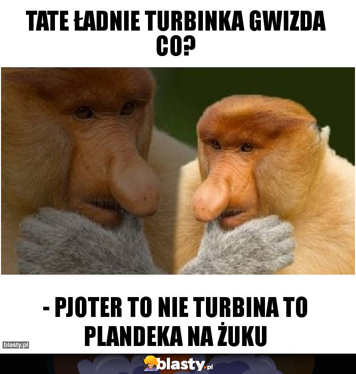 Tate ładnie turbinka gwizda co?