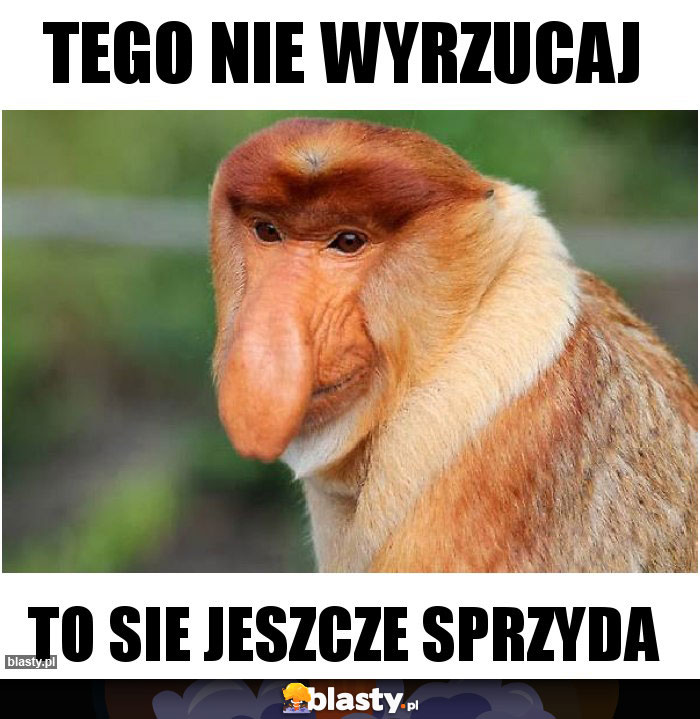 Tego nie wyrzucaj