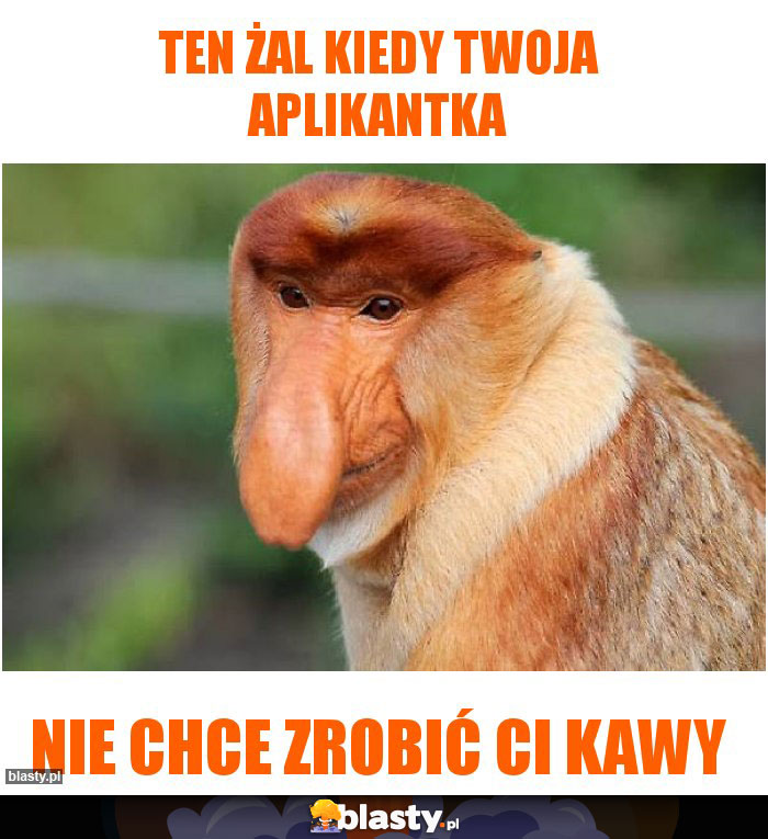 Ten żal kiedy twoja aplikantka