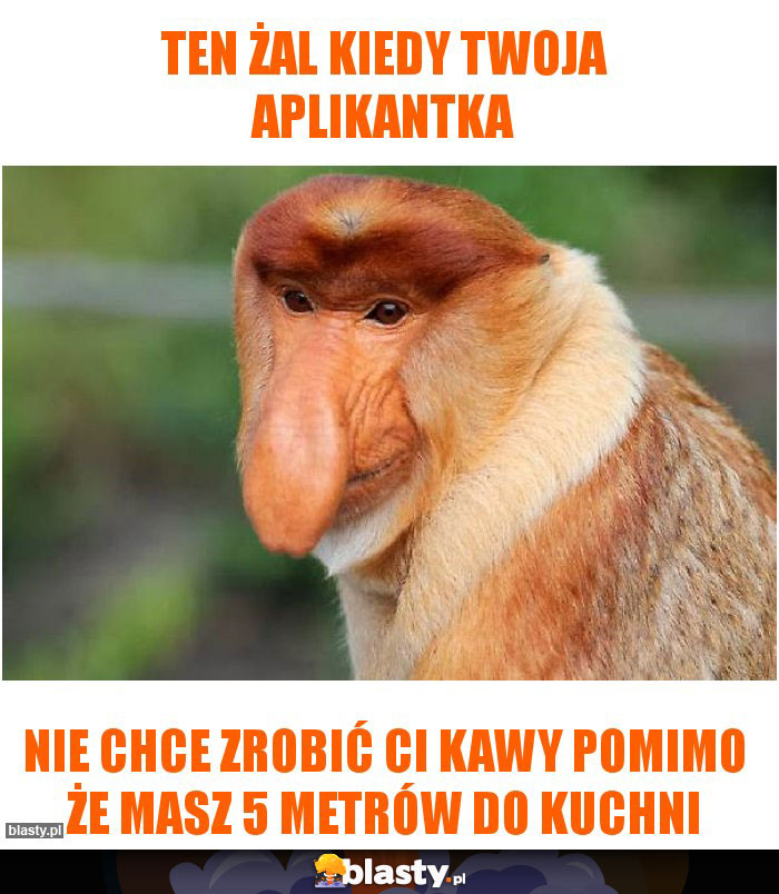 Ten żal kiedy twoja aplikantka