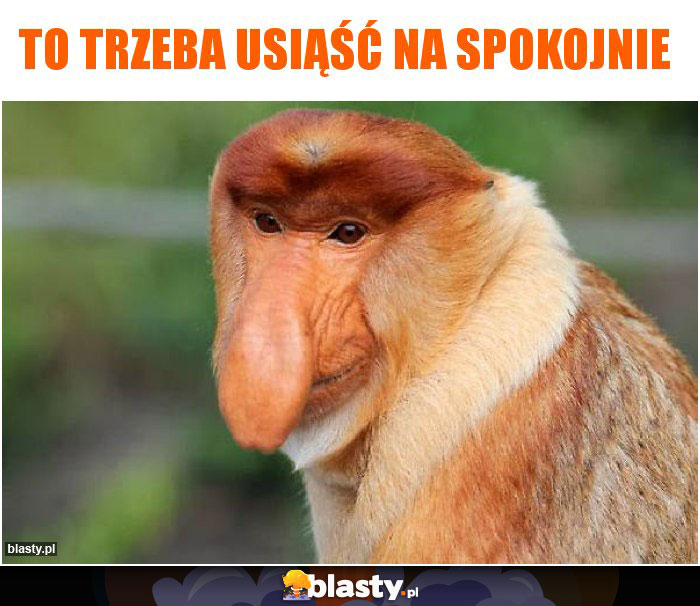 To trzeba usiąść na spokojnie