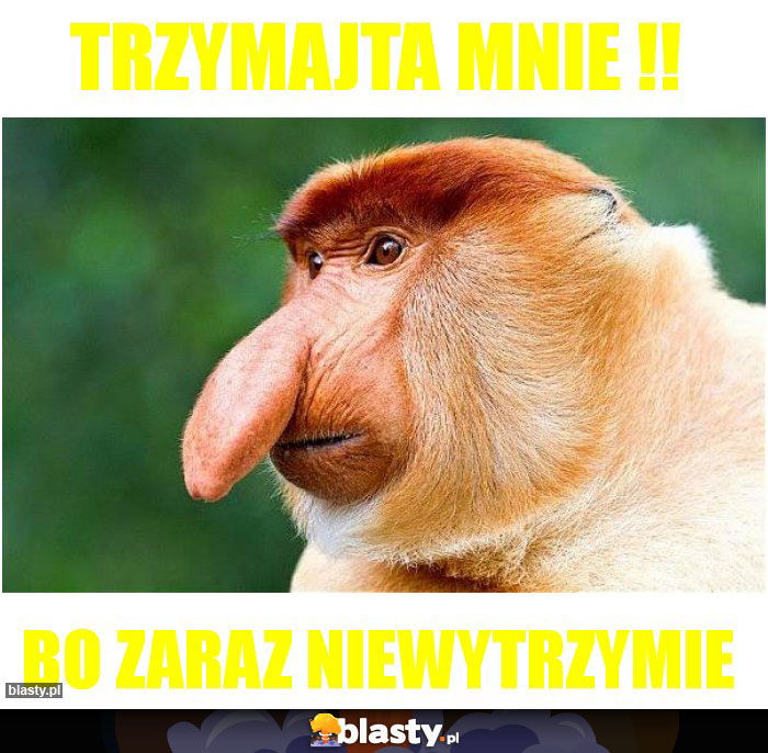 Trzymajta mnie !!