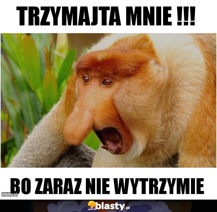 Trzymajta mnie !!!