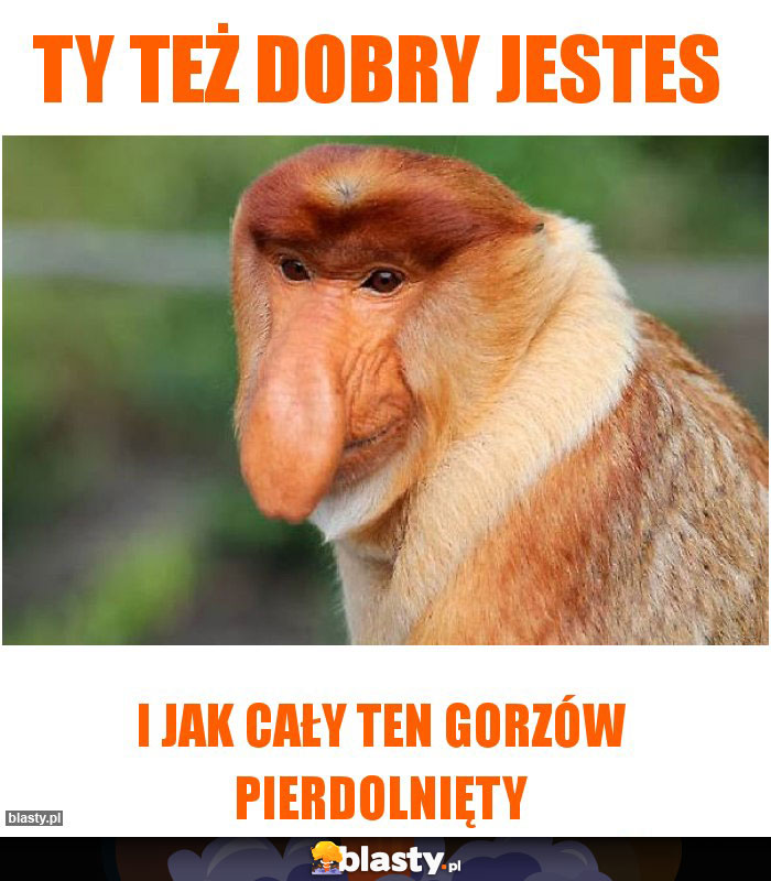 Ty też dobry jestes