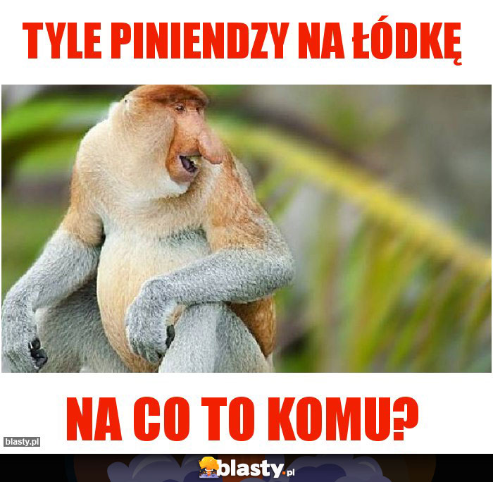 Tyle piniendzy na łódkę