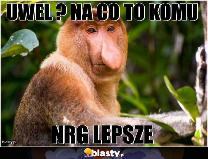 Uwel ? na co to komu