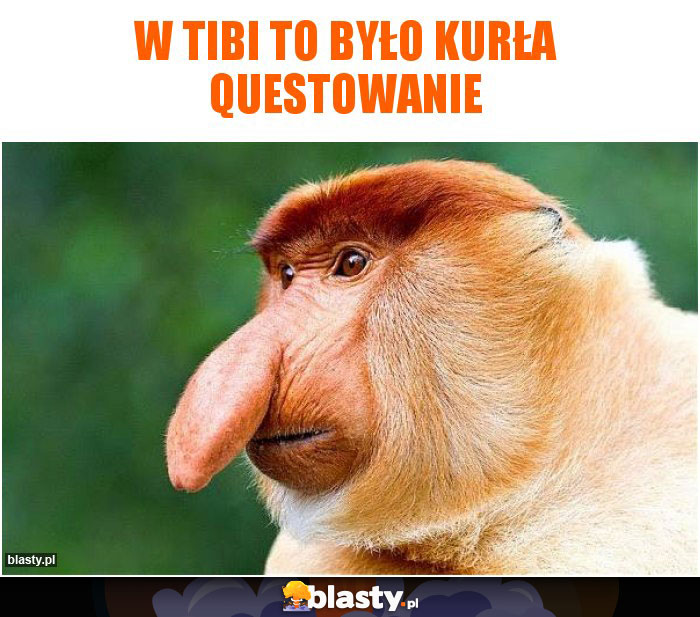 W Tibi to było kurła questowanie