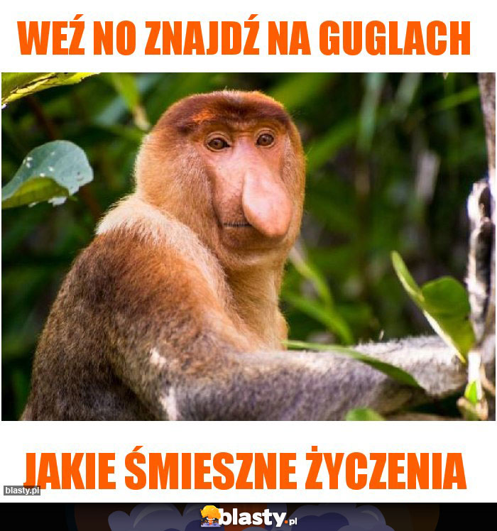 Weź no znajdź na guglach