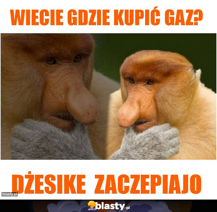 Wiecie gdzie kupić gaz?