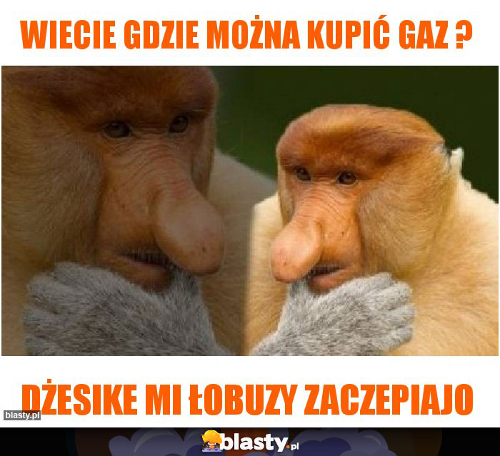 Wiecie gdzie można kupić gaz ?