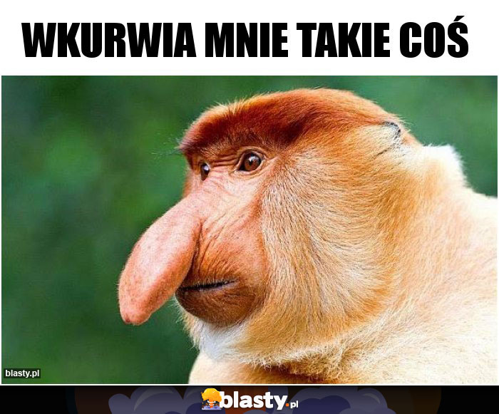 Wkurwia mnie takie coś