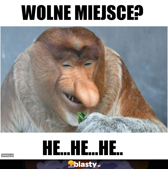 wolne miejsce?