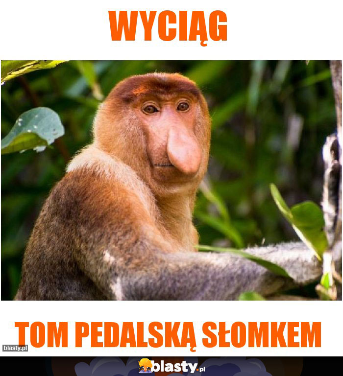 Wyciąg