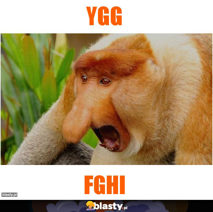 Ygg