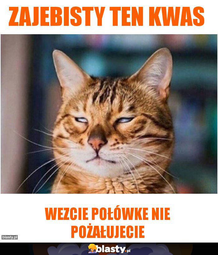 Zajebisty ten kwas