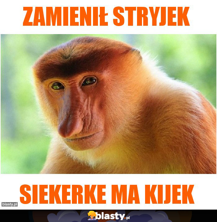 Zamienił stryjek