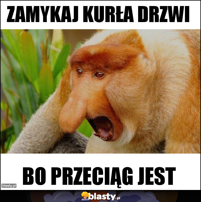 Zamykaj kurła drzwi