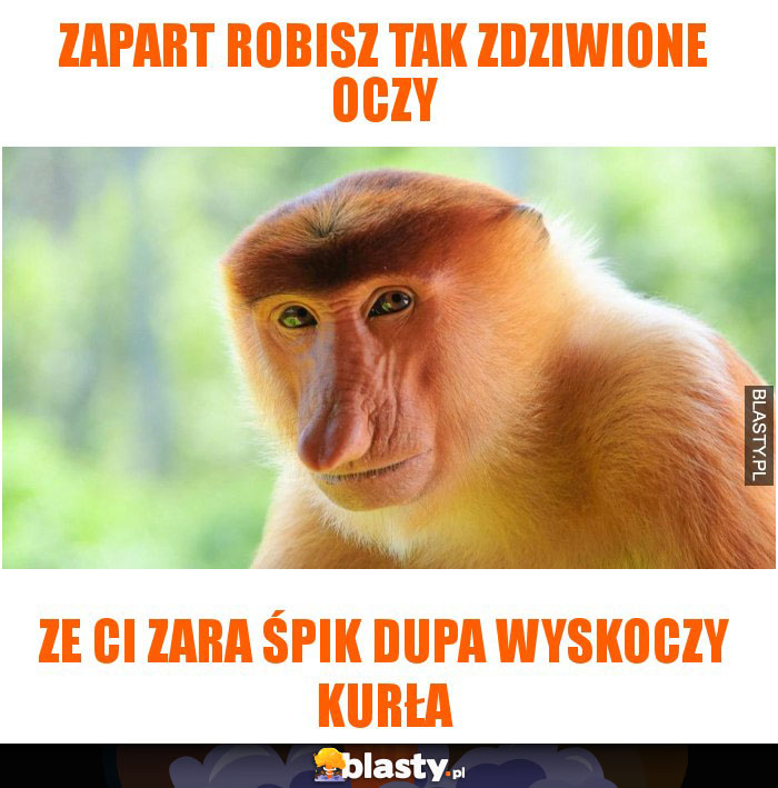 Zapart robisz tak zdziwione oczy