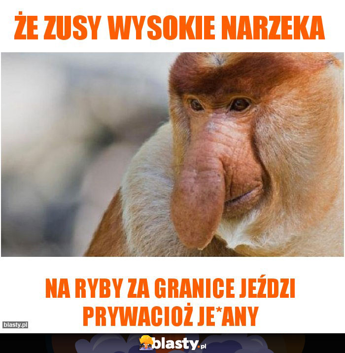 że zusy wysokie narzeka