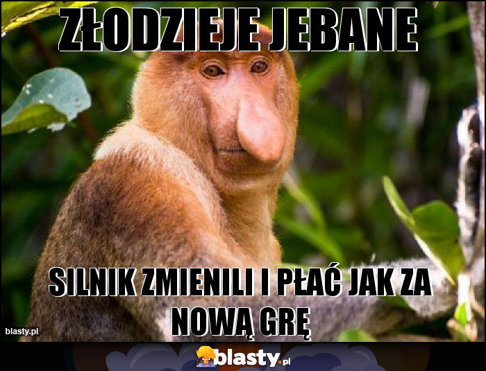 Złodzieje jebane